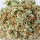 Orange Kush
