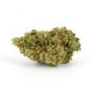 Pineapple Jack