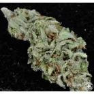 Pineapple Hashwreck / Oz