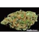 Silver Pearl / Oz