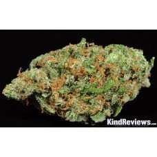 Silver Pearl / Oz