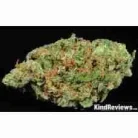 Silver Pearl / Oz