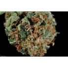 Snowcap / Oz