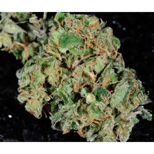 Buy Strawberries Cough / Oz Strawberries Cough / Oz