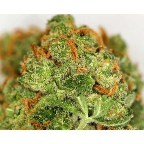 Buy Super green Crack / Oz Super green Crack / Oz