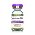 Testosterone-E 300 – Pharmaqo Labs