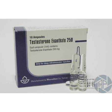 Buy Testosterone enanthate Iran (250 mg/ml) 1ml Price Per Each AMP! Testosterone enanthate Iran (250 mg/ml) 1ml Price Per Each AMP!
