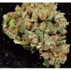 Trainwreck