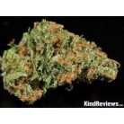 Trainwreck / Oz