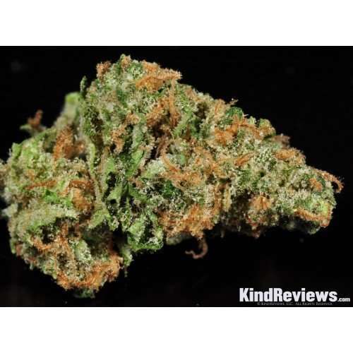 Buy Trainwreck / Oz Trainwreck / Oz