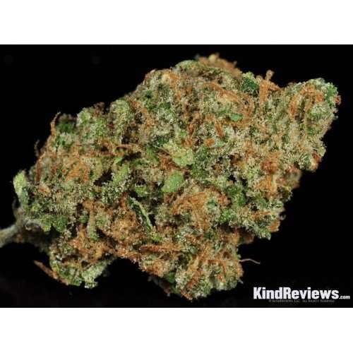 Buy Trainwreck / Oz Trainwreck / Oz