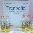Delatestryl, Testosterone Enanthate, Testosterone Depo, Testoviron-250 – Testobolin [testosterone Enanthate 250mg 10 Ampoules