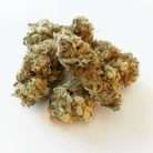 Whitewidow / Oz