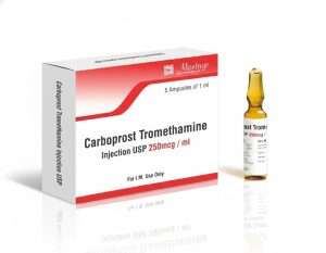 Buy Carboprost 250 mcg Injection | PPH Emergency Treatment