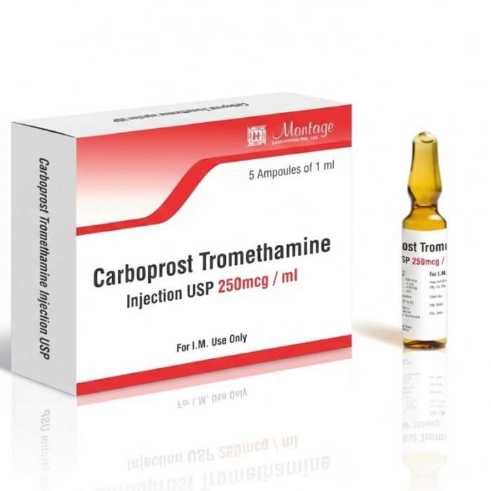 Buy Buy Carboprost 250 mcg Injection | PPH Emergency Treatment Buy Carboprost 250 mcg Injection | PPH Emergency Treatment