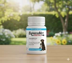 Gabapentin 25mg Compounded Tablets for Dogs & Cats – 30 Count | Pain Relief