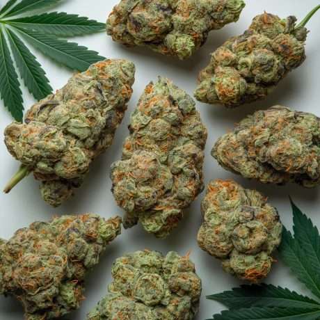 Strains