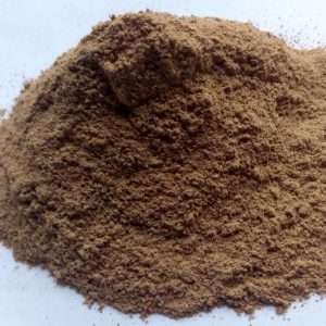 Iboga Root Bark (Tabernanthe iboga) – Premium Ethnobotanical