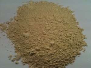 Iboga Root Bark (Tabernanthe iboga) – Premium Ethnobotanical